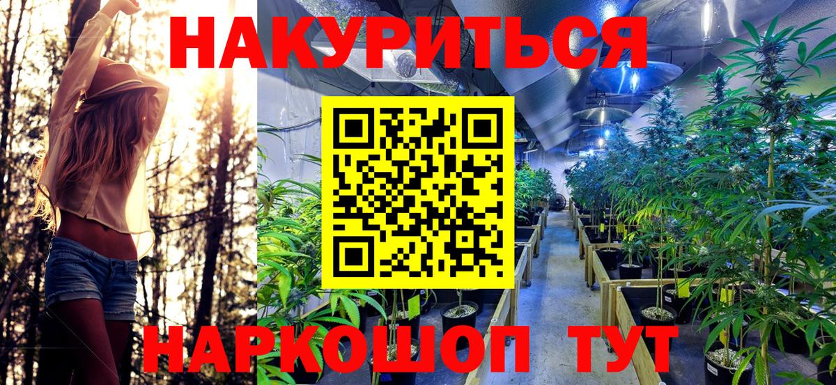 Бошки Шишки Ganja  Шишки марихуана VHQ  Вход с VPN  Конопля семена  Ливны 